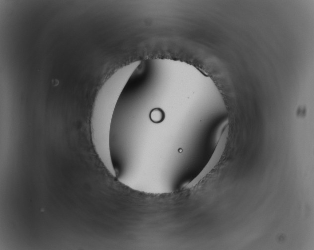 X0000103330192200809261209