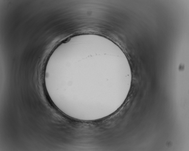 X0000103330193200809261209