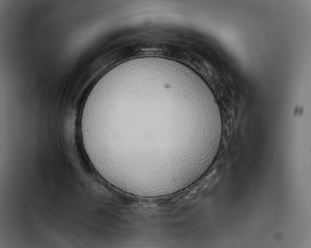 X0000103330194200809261209