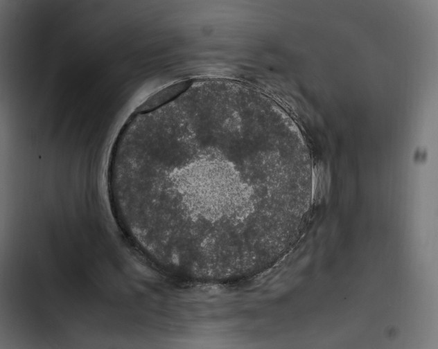 X0000103330195200809261209