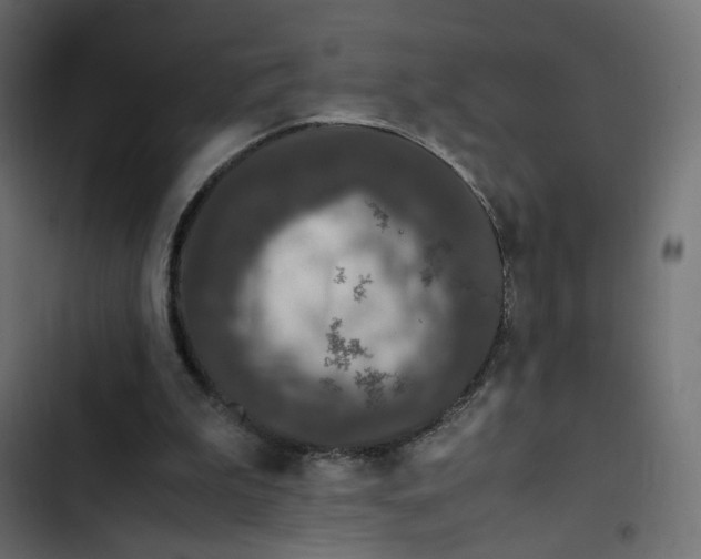 X0000103330199200809261208