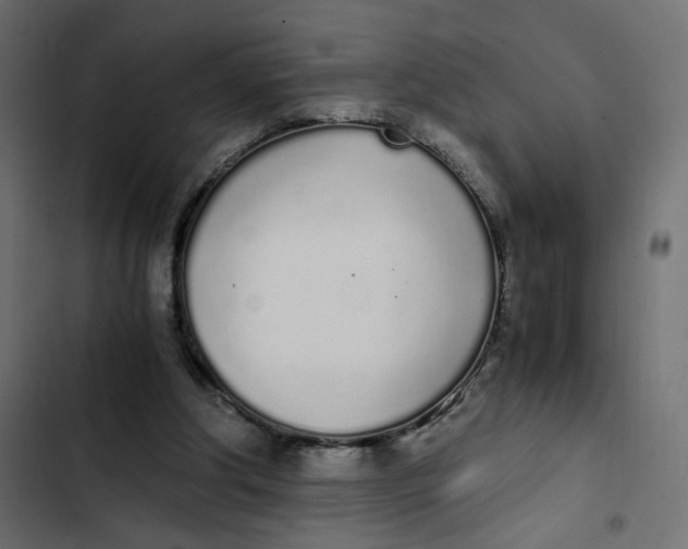 X0000103330202200809261208