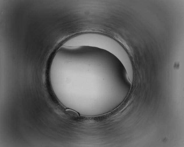 X0000103330203200809261208