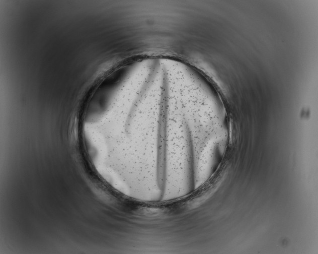 X0000103330205200809261208