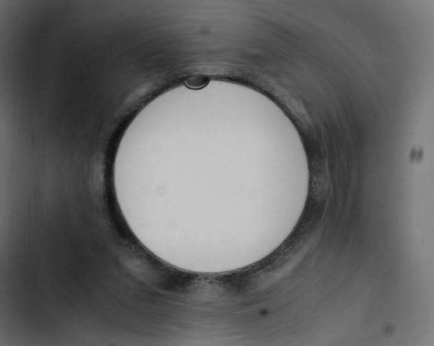 X0000103330207200809261208