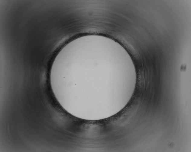 X0000103330208200809261208