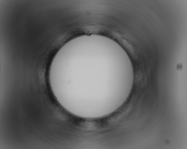 X0000103330209200809261208