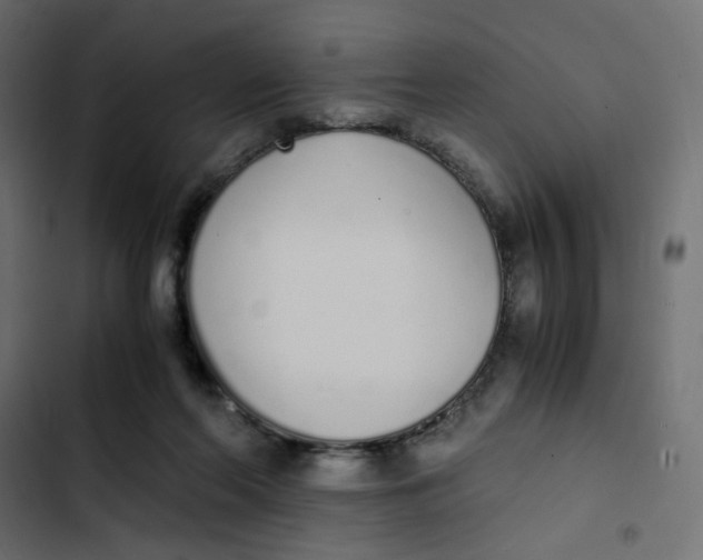 X0000103330214200809261208