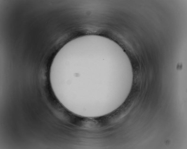 X0000103330215200809261208