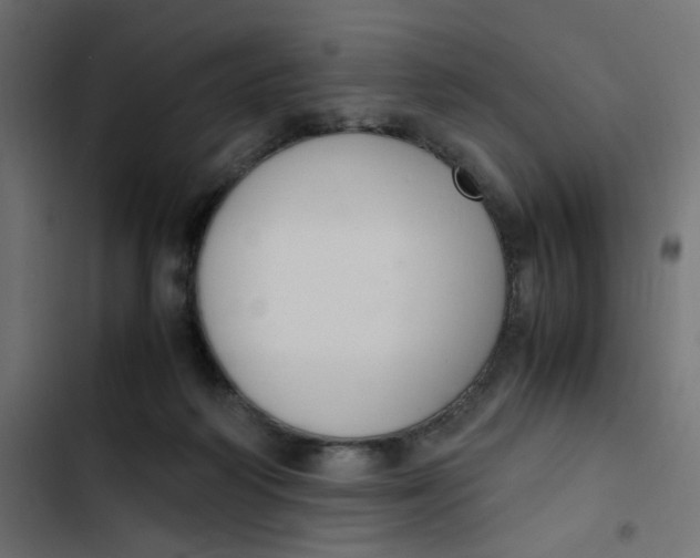 X0000103330218200809261208