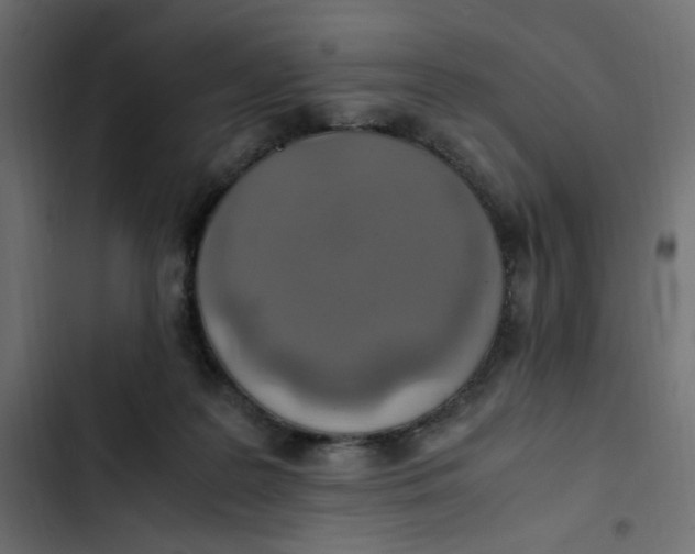 X0000103330219200809261208