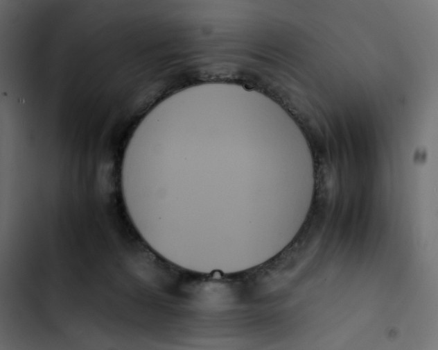 X0000103330224200809261208