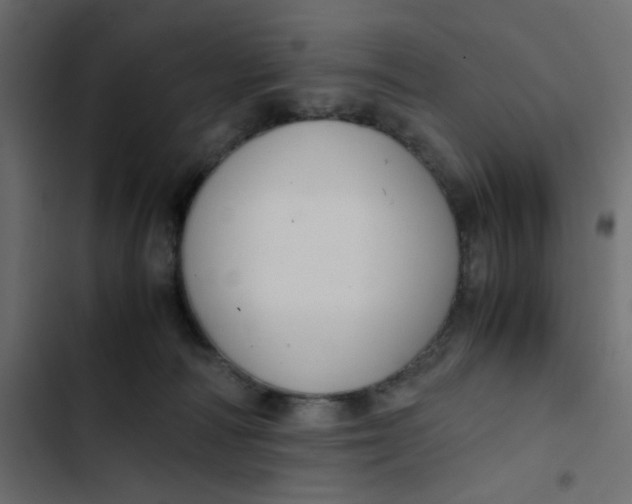 X0000103330226200809261208