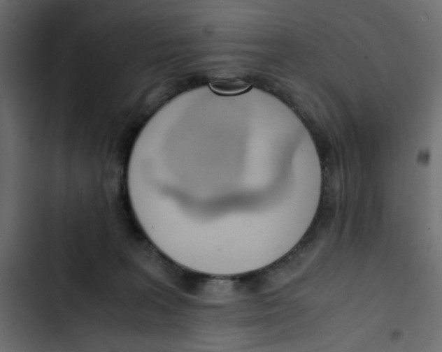 X0000103330227200809261208