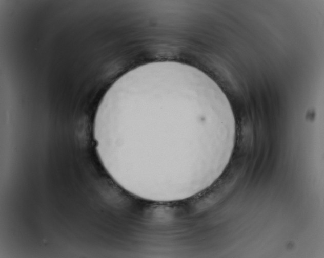 X0000103330228200809261208