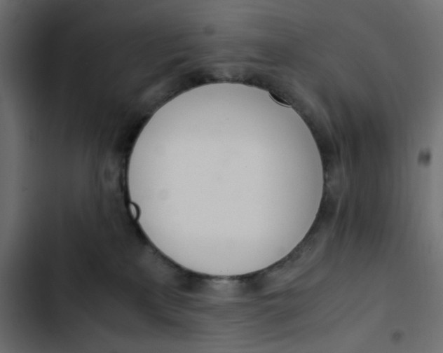 X0000103330233200809261208