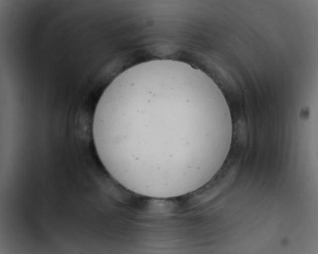 X0000103330234200809261208