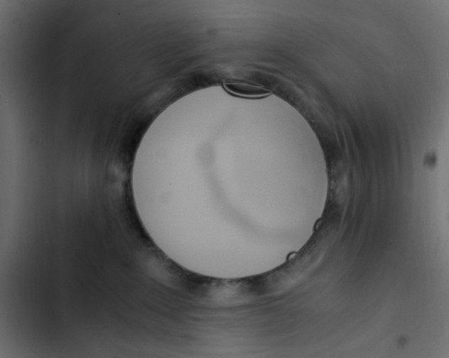 X0000103330235200809261208