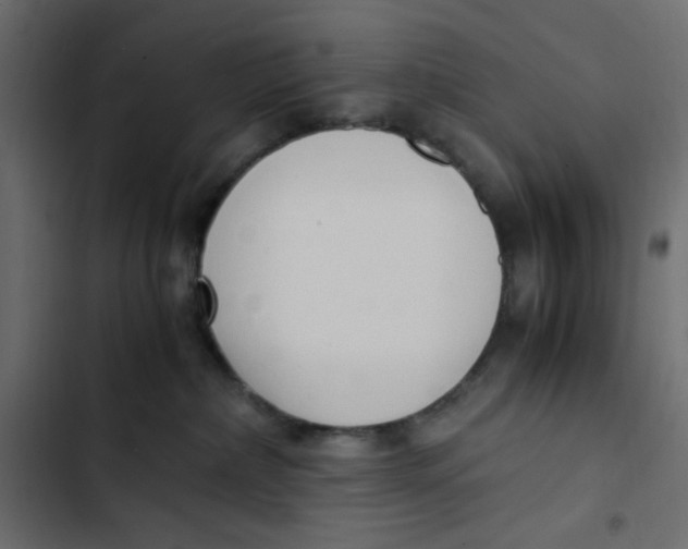 X0000103330236200809261208