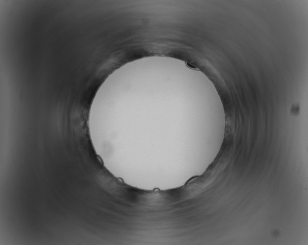 X0000103330237200809261208