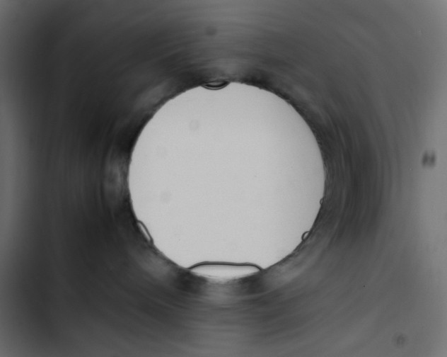 X0000103330240200809261208