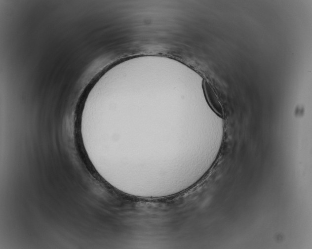 X0000103330242200809261207