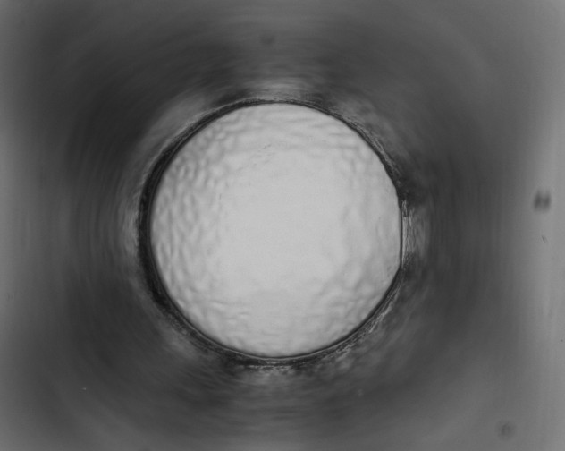 X0000103330243200809261207