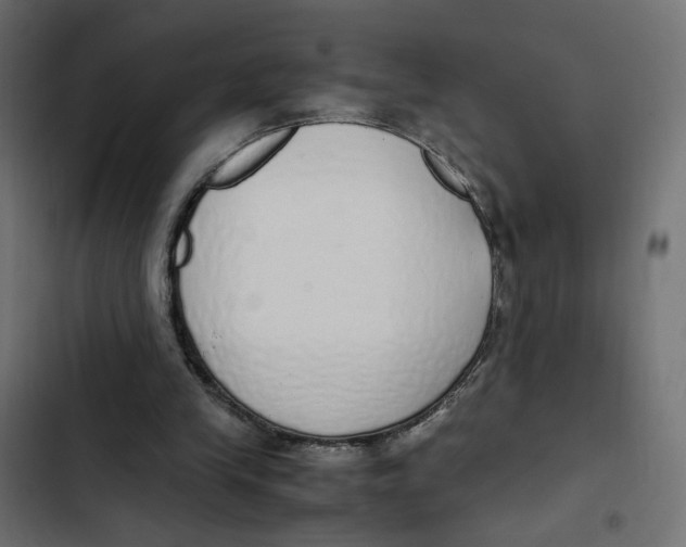 X0000103330245200809261207