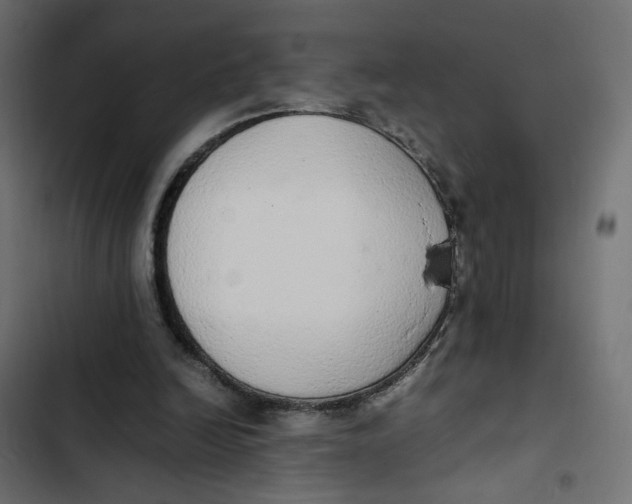 X0000103330246200809261207