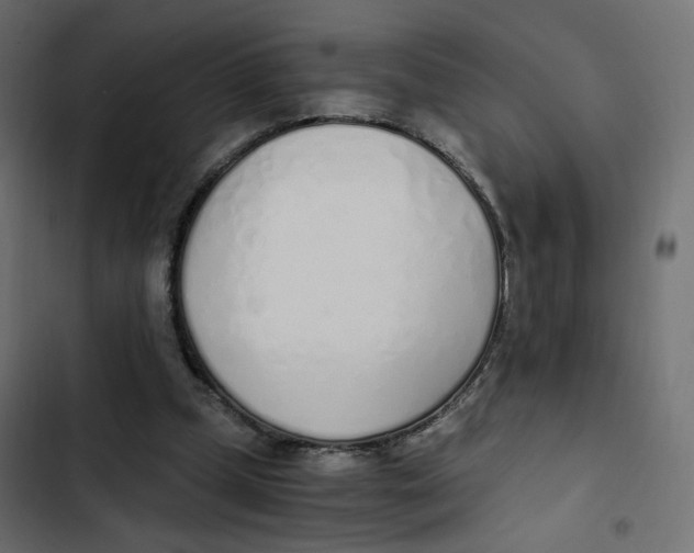 X0000103330249200809261207