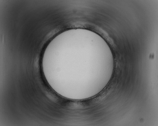 X0000103330250200809261207