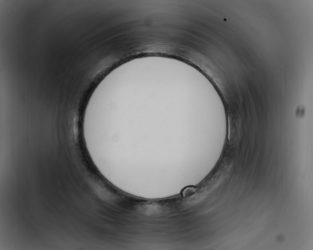 X0000103330253200809261207