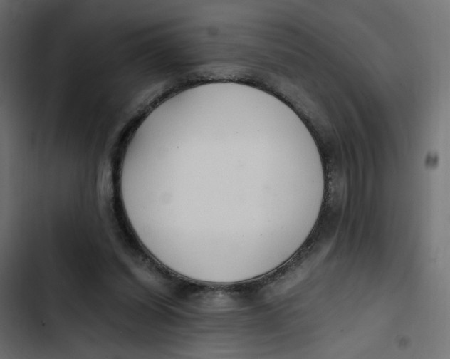 X0000103330254200809261207