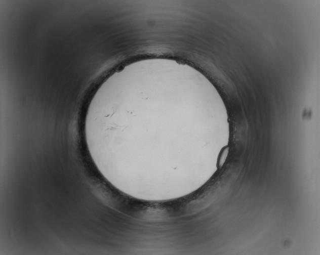 X0000103330256200809261207