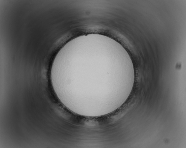 X0000103330258200809261207