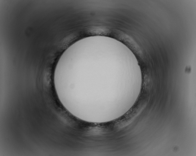 X0000103330259200809261207