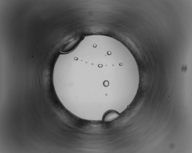 X0000103330260200809261207