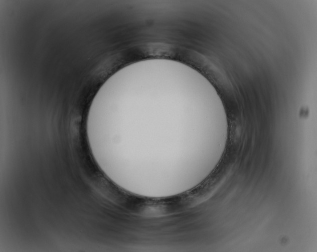 X0000103330263200809261208