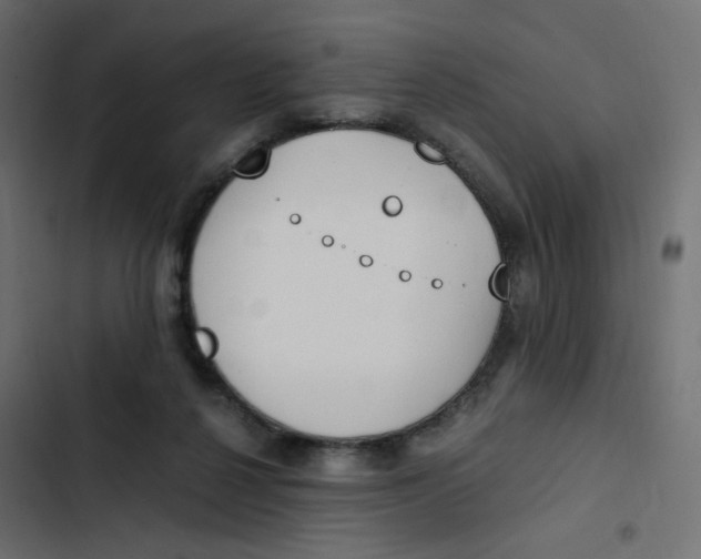 X0000103330264200809261208