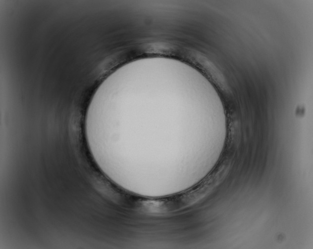 X0000103330265200809261208