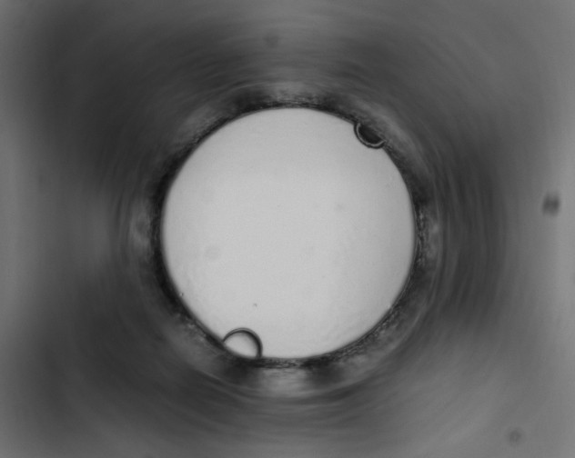 X0000103330266200809261208