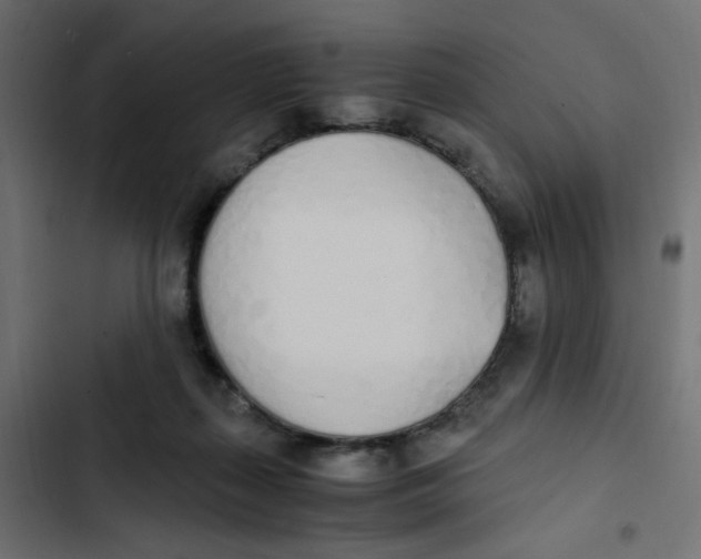 X0000103330267200809261208