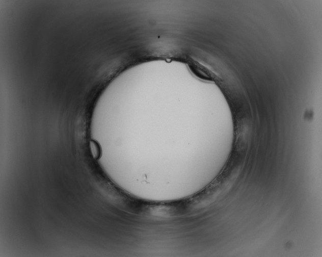 X0000103330268200809261208