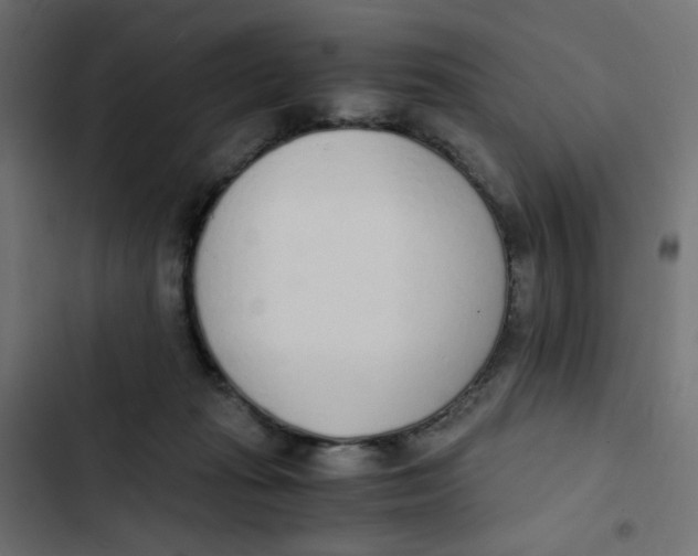 X0000103330269200809261208