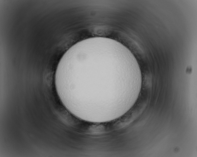 X0000103330271200809261208