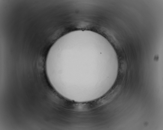 X0000103330273200809261208