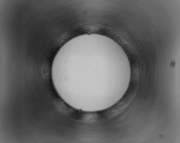 X0000103330274200809261208