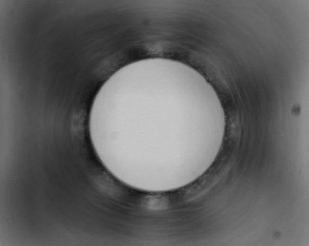 X0000103330275200809261208