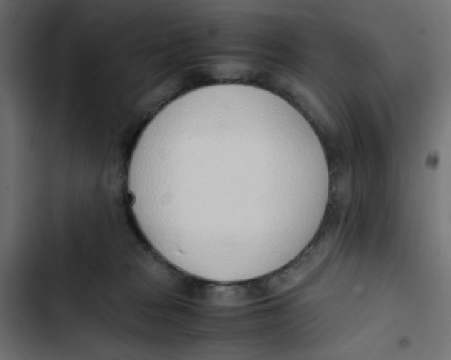 X0000103330277200809261208