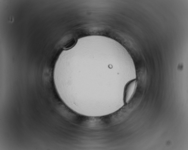 X0000103330278200809261208